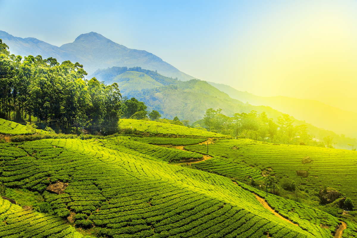 Munnar